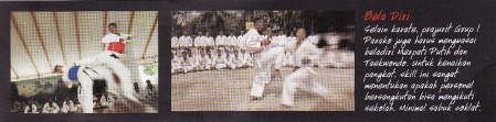 [Image: karate.jpg?w=450&amp;h=111]